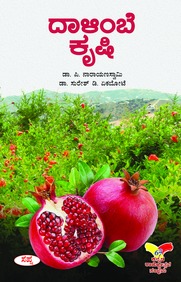 ದಾಳಿಂಬೆ ಕೃಷಿ  | Dalimbe Krushi
