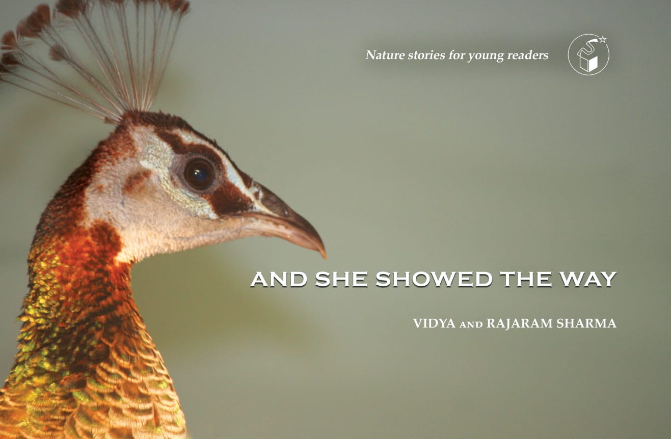 And She Showed The Way