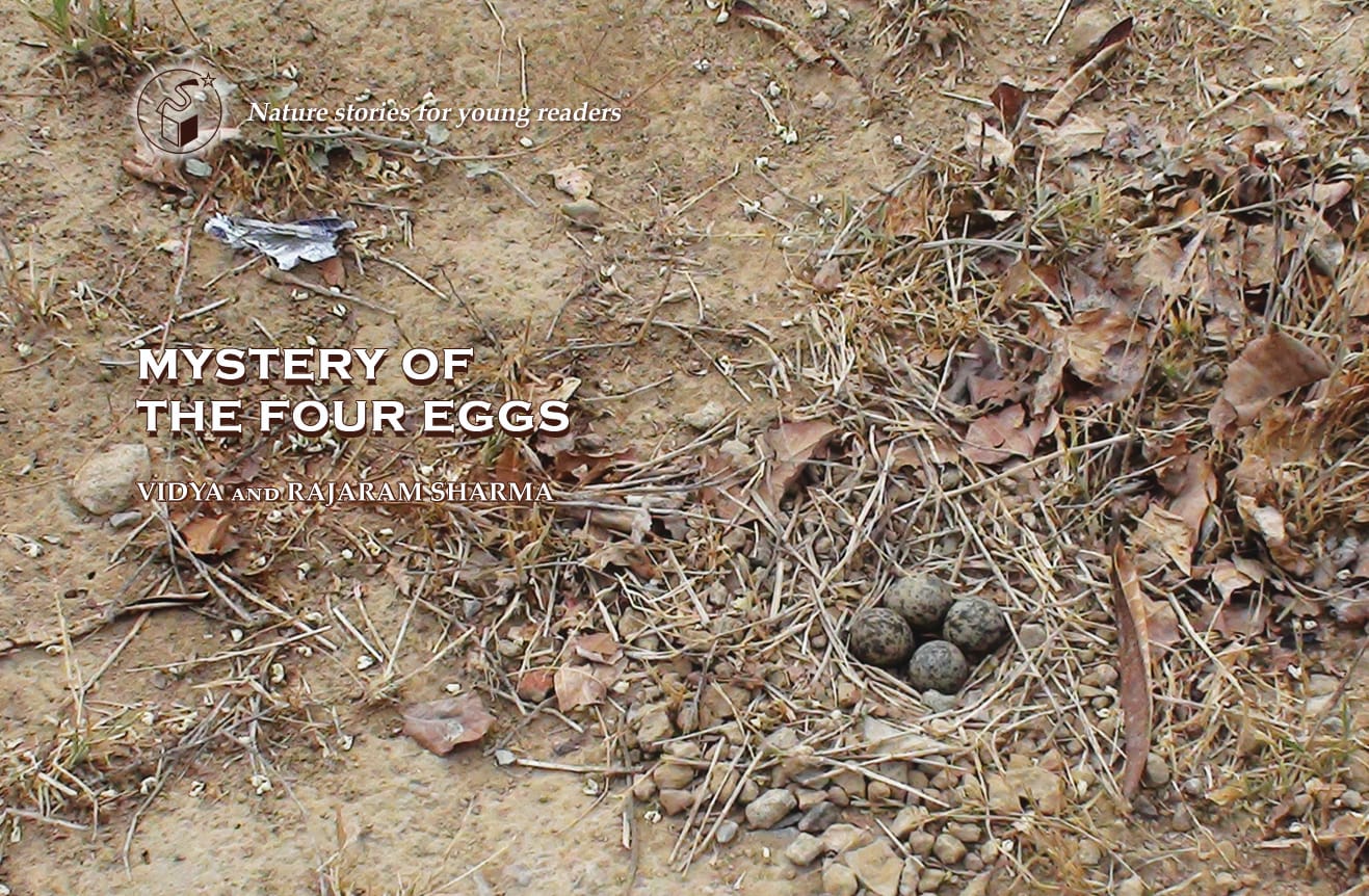 Mystery of The Four Eggs