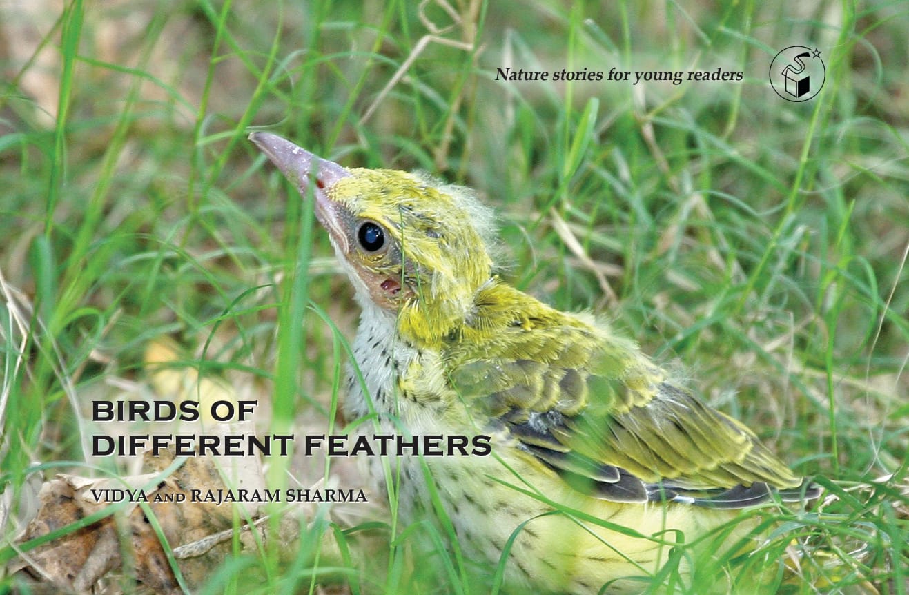 Birds of Different Feathers | Birds of Different Feathers