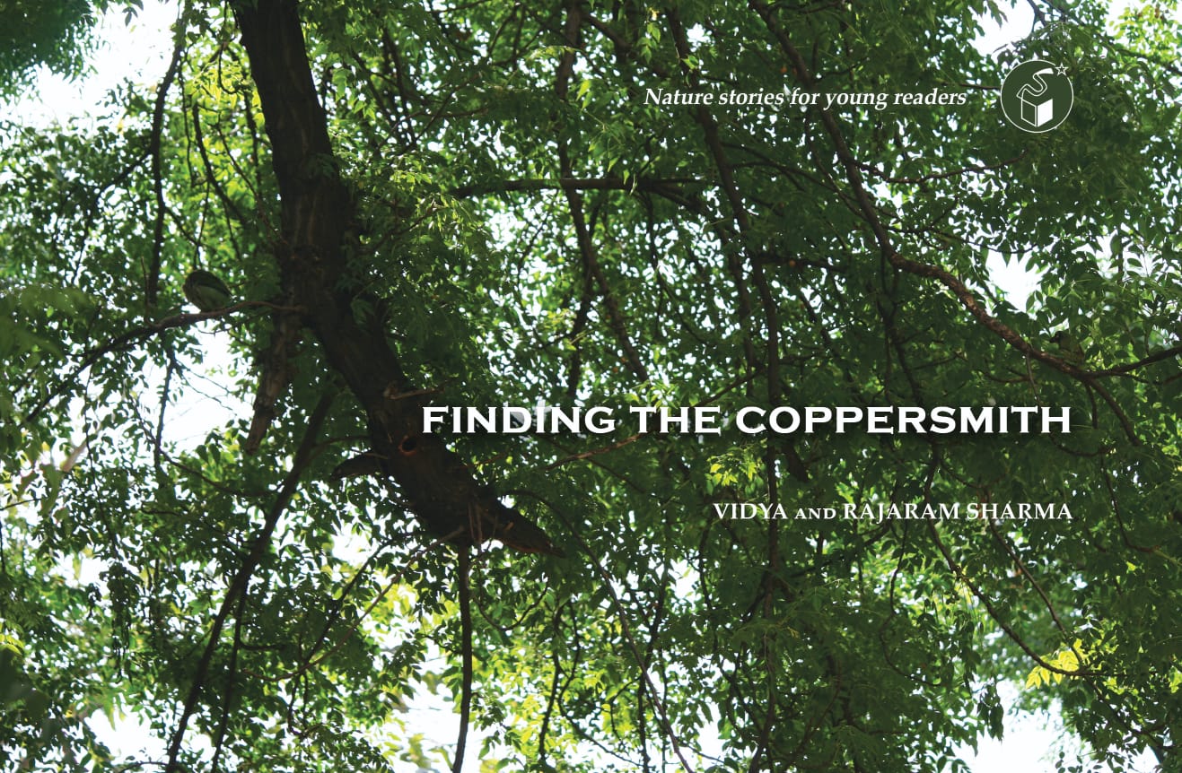 Finding The Coppersmith