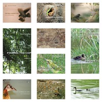 Nature Stories for Young Readers (Set of 10 Books) | Nature Stories for Young Readers (Set of 10 Books)