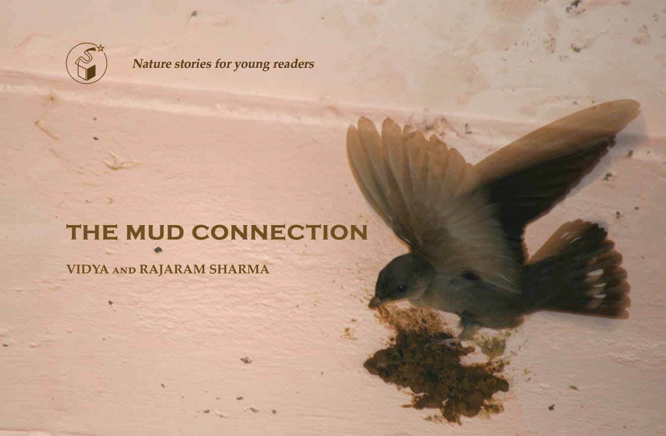The Mud Connection