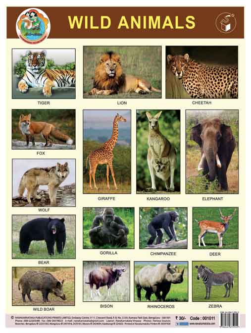 Wild Animals (Chart)|Wild Animals (Chart)