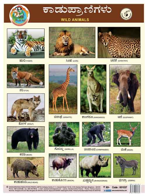 ಕಾಡು ಪ್ರಾಣಿಗಳು (Chart)|Kadu Pranigalu (Chart)