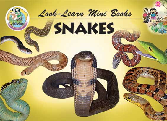 Snakes (Mini Book)|Snakes (Mini Book)