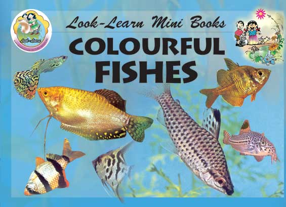 Colourful Fishes (Mini Book)|Colourful Fishes (Mini Book)