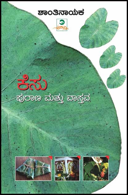 ಕೆಸು ಪುರಾಣ ಮತ್ತು ವಾಸ್ತವ|Kesu Purana Mattu Vastava