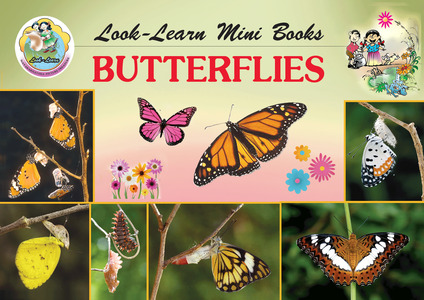Butterflies (Mini Book)|Butterflies (Mini Book)
