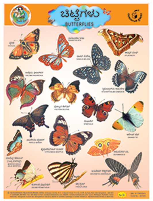 ಚಿಟ್ಟೆಗಳು (Chart)|Chittegalu