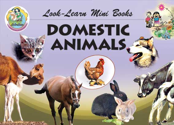 Domestic Animals (Mini Book)|Domestic Animals (Mini Book)