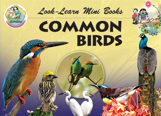 Common Birds (Mini Book)|Common Birds (Mini Book)