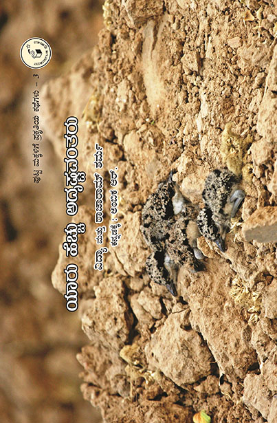 ಯಾರು ಹೆಚ್ಚು ಅದೃಷ್ಟವಂತರು | Yaaru Hechhu Adrushtavantharu