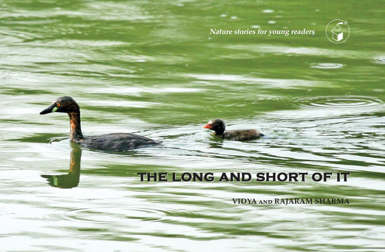 The Long and Short of IT | The Long and Short of IT
